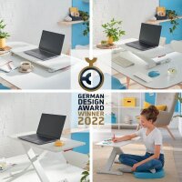 LEITZ Ergo Cosy mit Ablage Schreibtischaufsatz grau , 1 St.