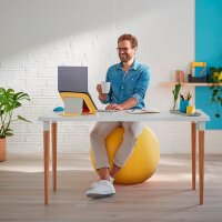 LEITZ Ergo Cosy Sitzball gelb 65,0 cm