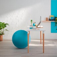 LEITZ Ergo Cosy Sitzball blau 65,0 cm