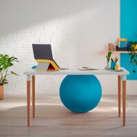 LEITZ Ergo Cosy Sitzball blau 65,0 cm
