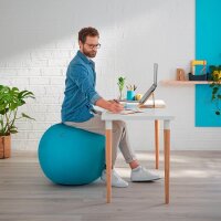 LEITZ Ergo Cosy Sitzball blau 65,0 cm