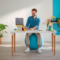 LEITZ Ergo Cosy Sitzball blau 65,0 cm