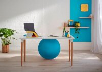 LEITZ Ergo Cosy Sitzball blau 65,0 cm