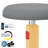 LEITZ Sitz- & Stehhocker Ergo Cosy 65180019 grau, gelb, 1 St.