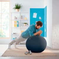 LEITZ Ergo Cosy Sitzball grau 65,0 cm