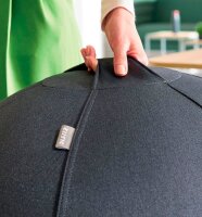 LEITZ Ergo Cosy Sitzball grau 65,0 cm