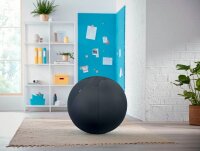 LEITZ Ergo Cosy Sitzball grau 65,0 cm