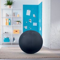 LEITZ Ergo Cosy Sitzball grau 65,0 cm
