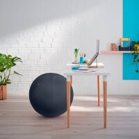 LEITZ Ergo Cosy Sitzball grau 65,0 cm