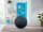 LEITZ Ergo Cosy Sitzball grau 65,0 cm