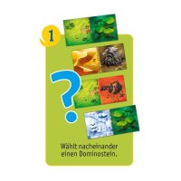 Pegasus Spiele Dragomino Brettspiel, 1 St.