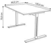 Kerkmann Form 1 Schreibtisch lichtgrau rechteckig, T-Fuß-Gestell silber 120,0 x 80,0 cm