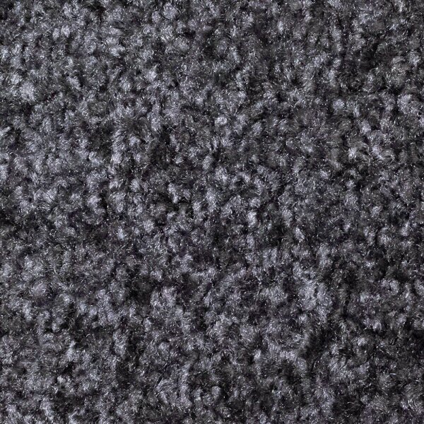Mercury Fußmatte Rainbow grau 40,0 x 60,0 cm