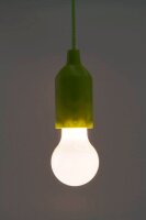 HyCell Pull-Light PL1W LED Outdoor-Lampe grün 1 W