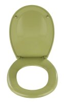 WENKO WC-Sitz Bergamo grün, 1 St.