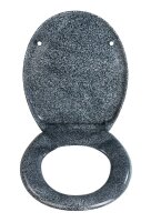 WENKO WC-Sitz mit Absenkautomatik Ottana grau, granit, 1 St.