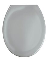 WENKO WC-Sitz mit Absenkautomatik Ottana hellgrau, 1 St.