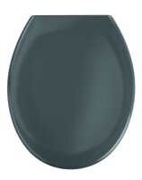 WENKO WC-Sitz mit Absenkautomatik Ottana dunkelgrau, 1 St.