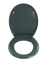 WENKO WC-Sitz mit Absenkautomatik Ottana dunkelgrau, 1 St.