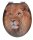 WENKO WC-Sitz mit Absenkautomatik Lion braun, 1 St.