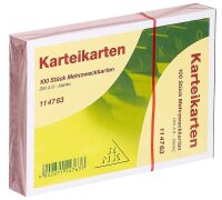 RNK-Verlag Karteikarten DIN A6 rosa blanko, 100 St.