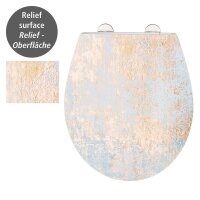 WENKO WC-Sitz mit Absenkautomatik Agate mehrfarbig, 1 St.