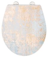 WENKO WC-Sitz mit Absenkautomatik Agate mehrfarbig, 1 St.