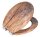 WENKO WC-Sitz Rustic braun, 1 St.