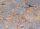 WENKO WC-Sitz mit Absenkautomatik Grey Marble mehrfarbig, 1 St.
