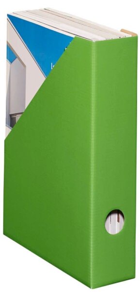LANDRÉ® Stehsammler 100552131 grün Karton, DIN A4, 1 St.