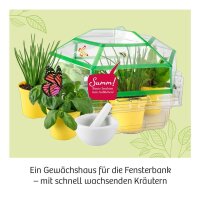 KOSMOS Experimentierkasten Kräuter-Garten mehrfarbig