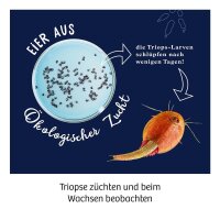 KOSMOS Experimentierkasten Fun Science Triops züchten mehrfarbig
