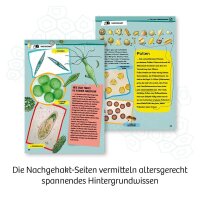 KOSMOS Experimentierkasten Entdecker-Mikroskop mehrfarbig