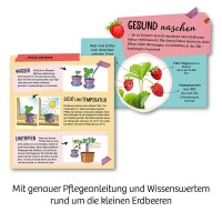 KOSMOS Experimentierkasten Feen-Erdbeeren mehrfarbig