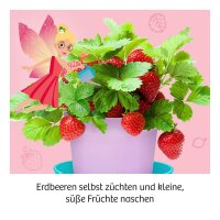 KOSMOS Experimentierkasten Feen-Erdbeeren mehrfarbig