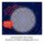 KOSMOS Experimentierkasten Fun Science Brain Tricks mehrfarbig