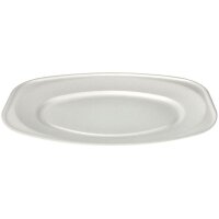 5 STARPAK Einweg-Servierplatten 25,0 x 35,0 cm  ( 88773 )