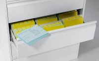 CP Acurado Karteischrank lichtgrau 6 Schubladen 78,7 x 59,0 x 135,7 cm, 1 St.