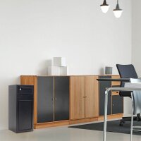 ROTTNER Einwurftresor CashMatic 1 schwarz 25,0 x 26,0 x 60,0 cm