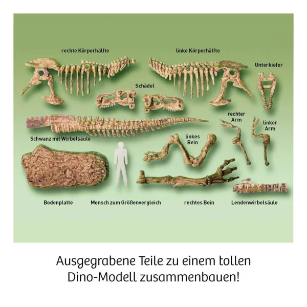 KOSMOS Ausgrabungsset T-REX 3D mehrfarbig