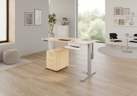 HAMMERBACHER XMKA12 elektrisch höhenverstellbarer Schreibtisch ahorn rechteckig, C-Fuß-Gestell silber 120,0 x 80,0 cm