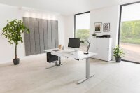 HAMMERBACHER XMKA12 elektrisch höhenverstellbarer Schreibtisch weiß rechteckig, C-Fuß-Gestell silber 120,0 x 80,0 cm