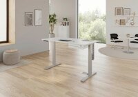 HAMMERBACHER XMKA19 elektrisch höhenverstellbarer Schreibtisch lichtgrau rechteckig, C-Fuß-Gestell silber 180,0 x 80,0 cm