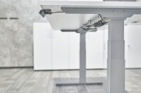 HAMMERBACHER XDKB12 elektrisch höhenverstellbarer Schreibtisch eiche rechteckig, C-Fuß-Gestell silber 120,0 x 80,0 cm