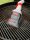 BALLISTOL Grill-Reiniger Backofenreiniger 750 ml, 1 St.