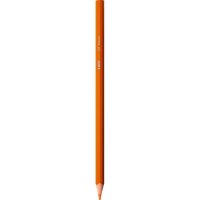 BIC INTENSITY Buntstifte farbsortiert, 12 St.