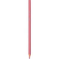 BIC INTENSITY Buntstifte farbsortiert, 12 St.