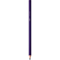 BIC INTENSITY Buntstifte farbsortiert, 12 St.