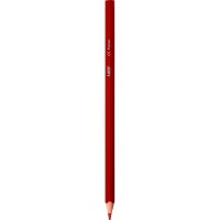 BIC INTENSITY Buntstifte farbsortiert, 12 St.