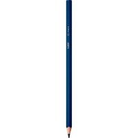 BIC INTENSITY Buntstifte farbsortiert, 12 St.